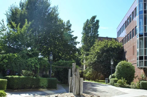 Hammerbrookstraße 5/ Neues Steintor