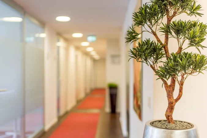 Satellite Office Ludwigspalais